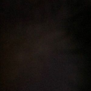 Meet your Posher, Lilly